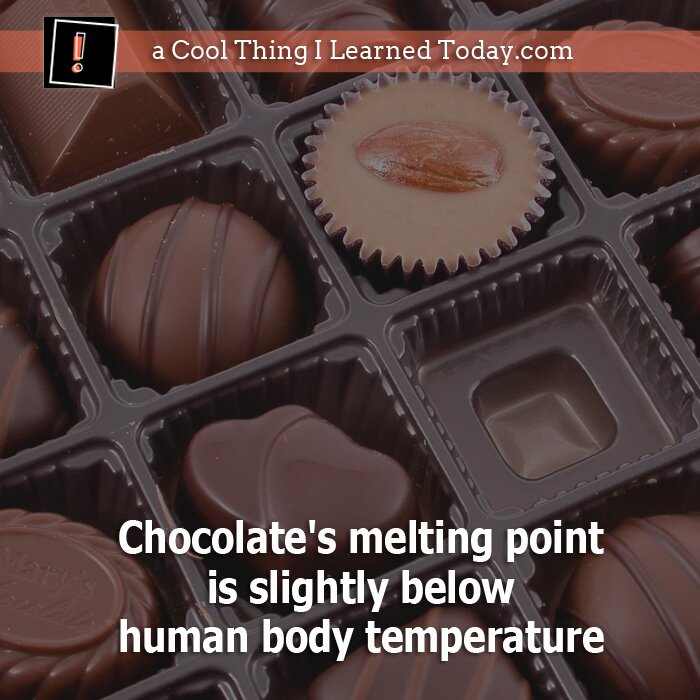 Why Does Chocolate Melt In Your Mouth A Cool Thing I Learned Today